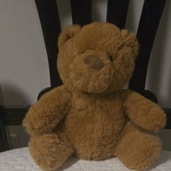9" Warming Therapy Teddy Bear 