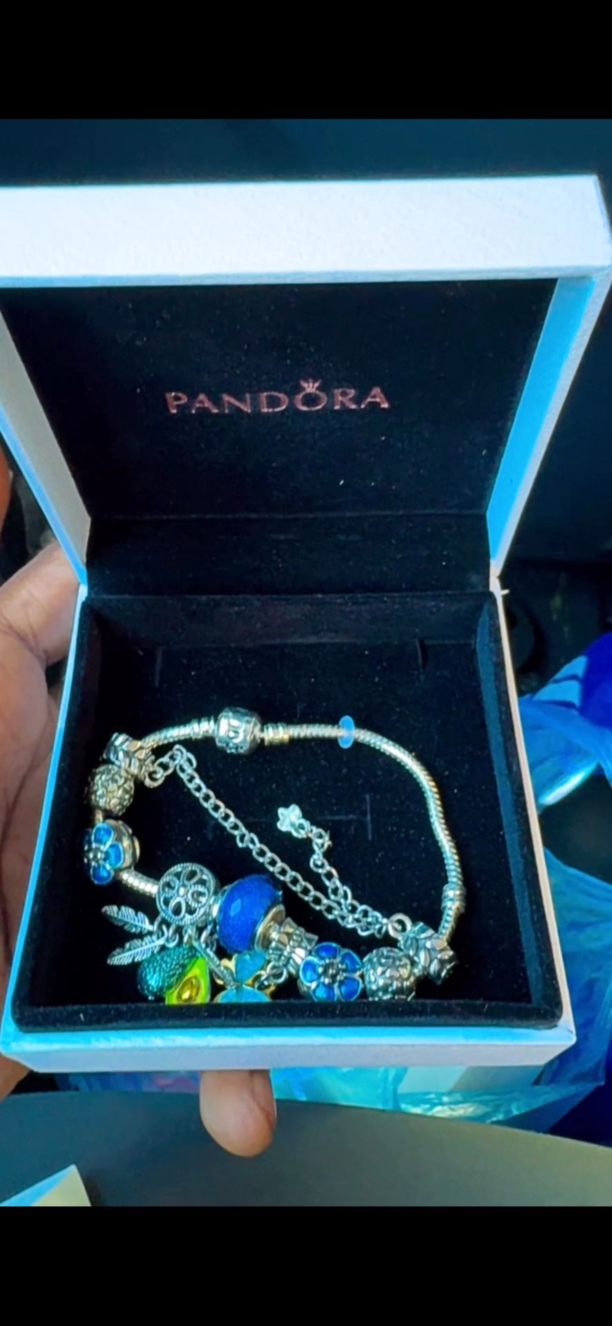 Pandora Bracelet 