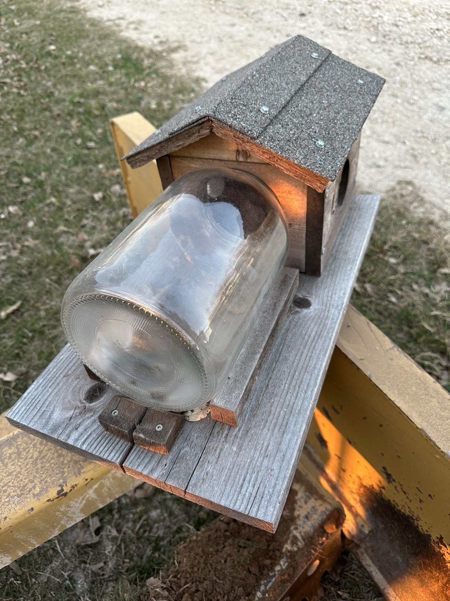 Squirrel feeder