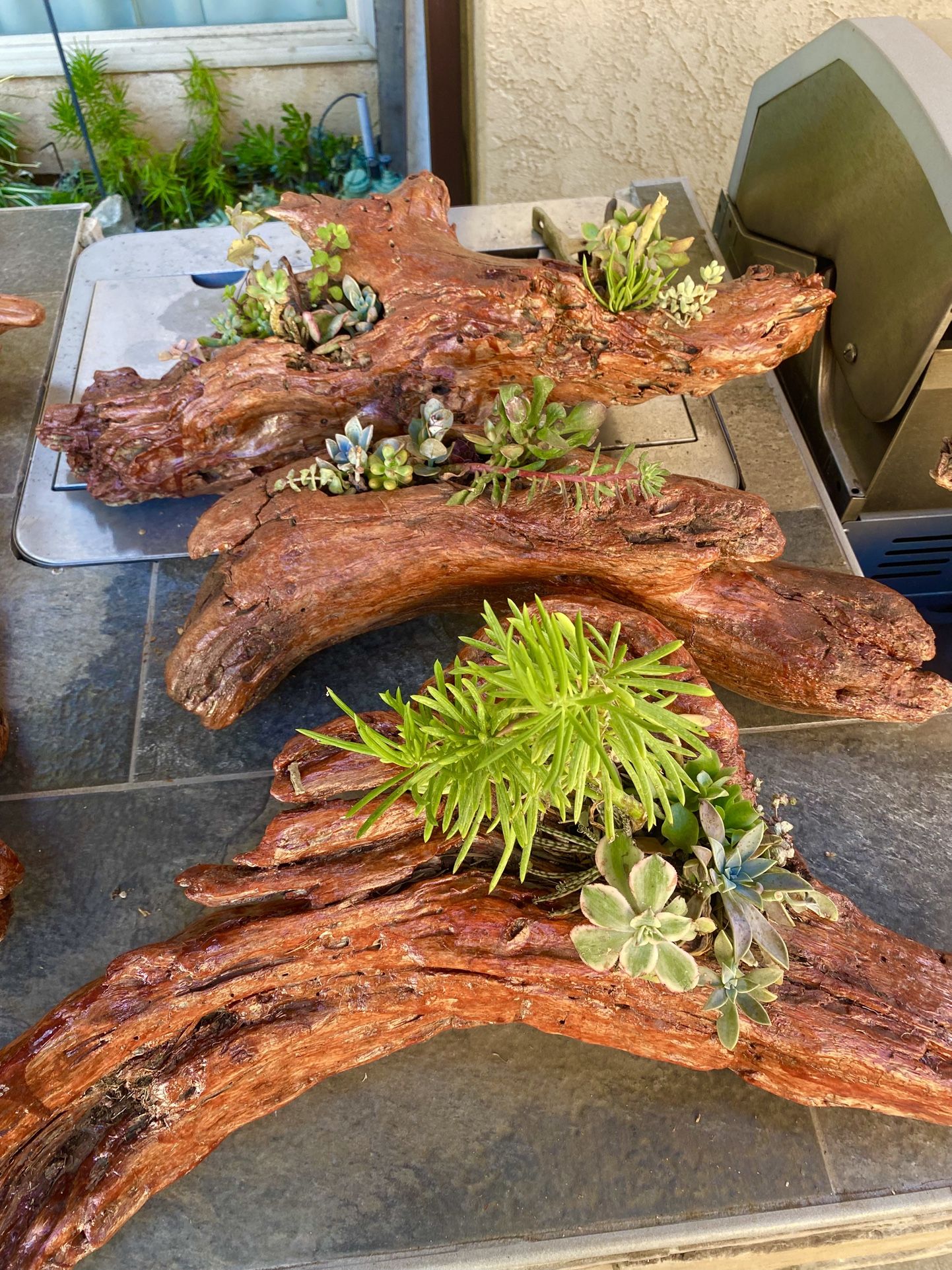 Driftwood For Centerpieces , Garden, Crafts And Planters