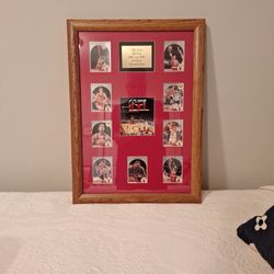 Chicago Bulls 1991 and 1992 World Champions