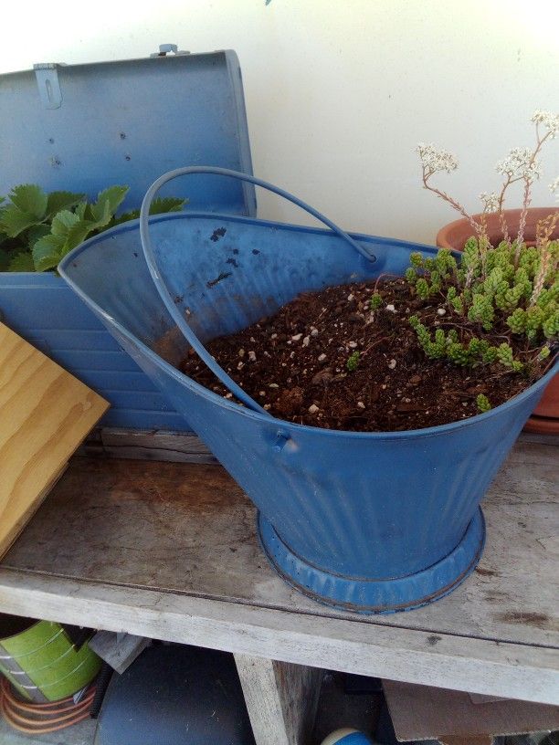Metal Plant Container