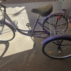 3 Wheel Bicycle