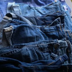 Women’s Shorts 