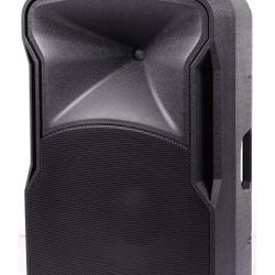 Edison Professional St-3000 Multi-Function Loud Speaker and PA System, Black ST3000