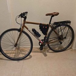 Fairdale X Toy Machine Lookfar Bike