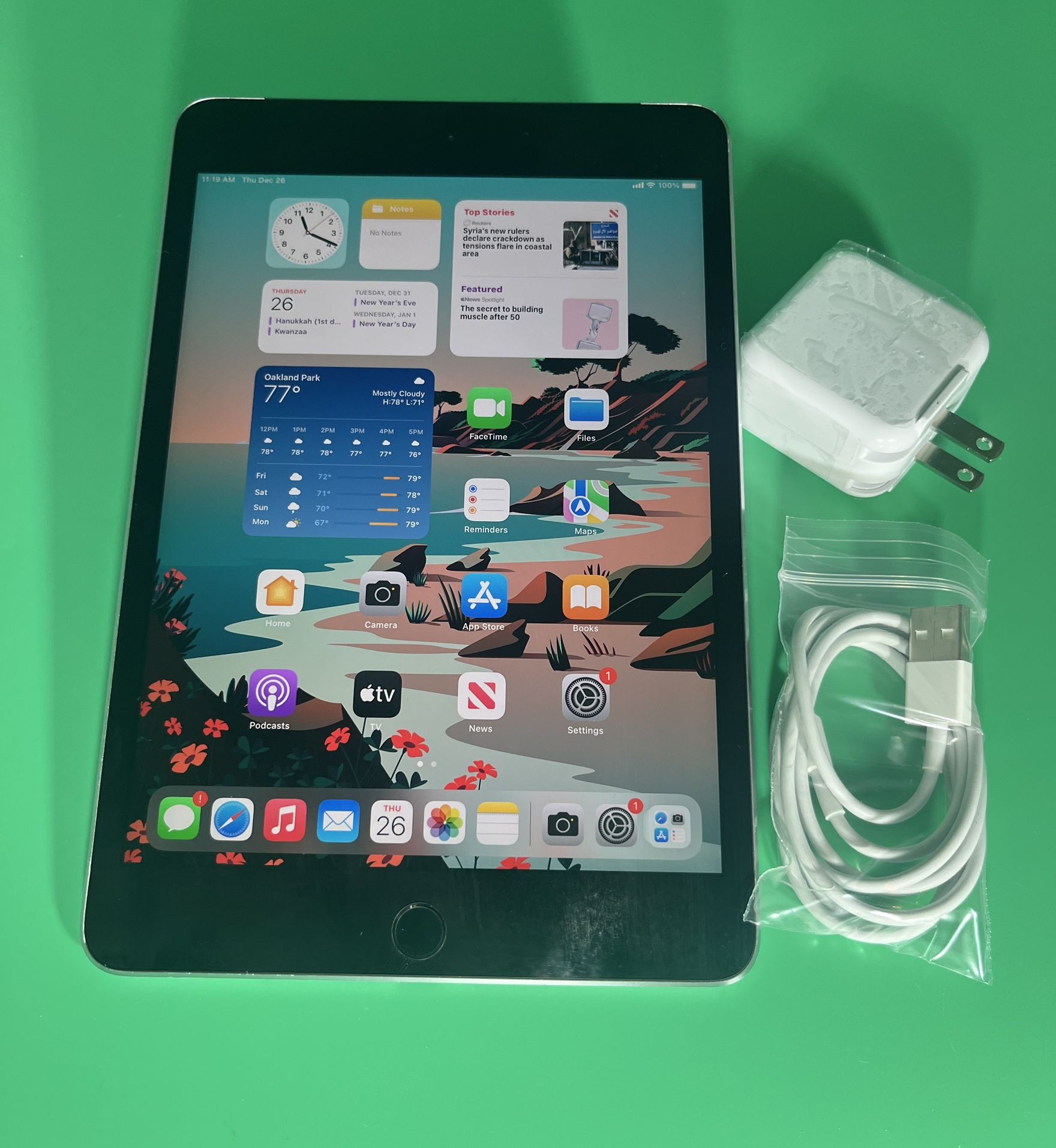 Apple iPad MINI 4 128GB WiFi+ Cellular UNLOCKED 7.9” iPad—Black complete with usb and Charger