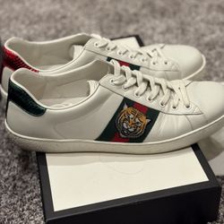 Gucci Shoes 