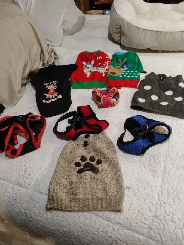 10-piece Small Dog Apparel