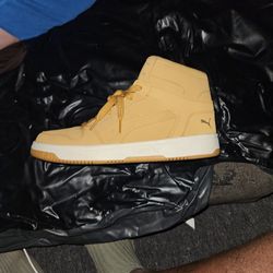 Puma