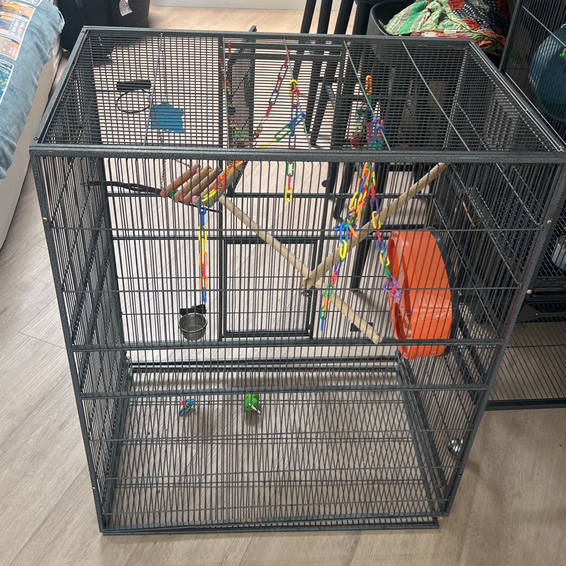 Free Two Pet Cages exotic Nutrition)