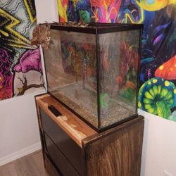 31 Fish Tank 