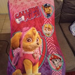 Paw Patrol Sleeping Bag. Good Condition!