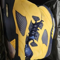 Air Jordan 2019 "Michigan" Barley Worn Sz13