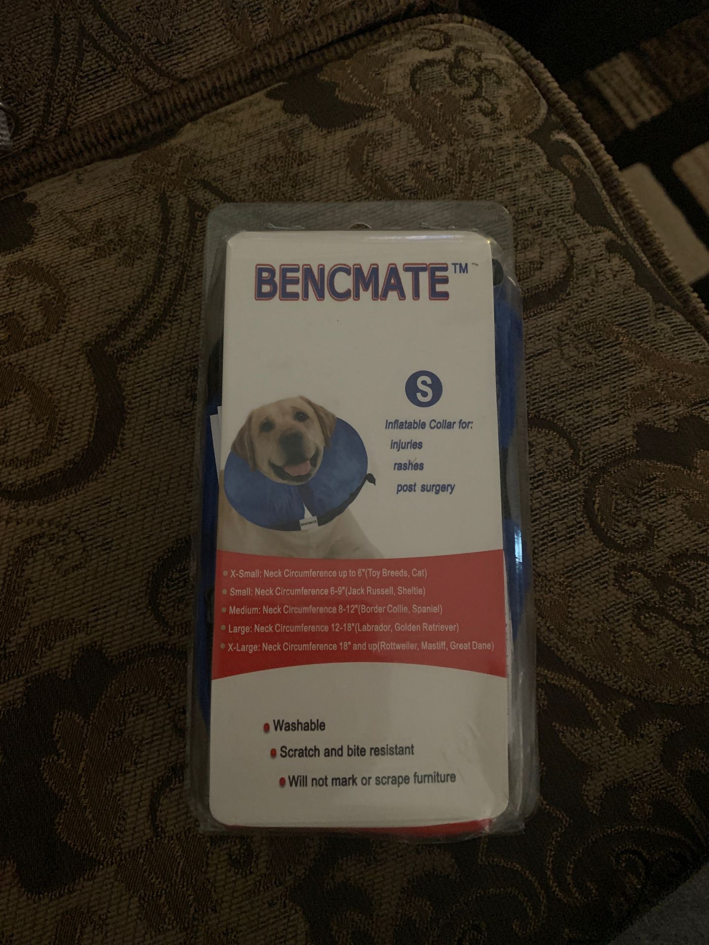 Small inflatable collar for small dog