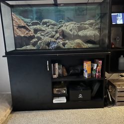 60 Gallon Fish Tank