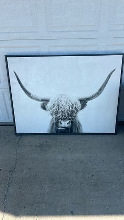 Bull Canvas