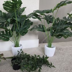 Faux Plants 