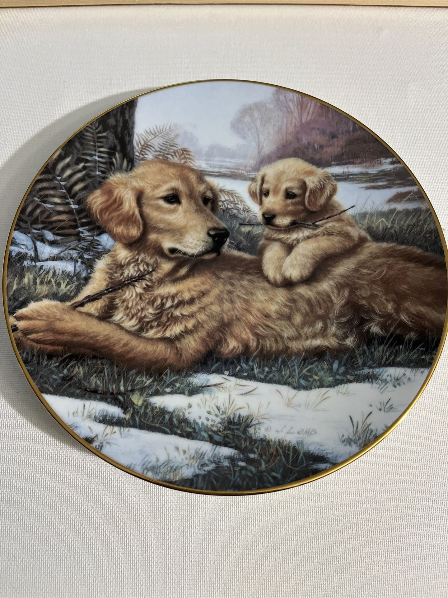 Golden Moments A Sporting Generation Jim Lamb Limited Edition 8” Plate #1733