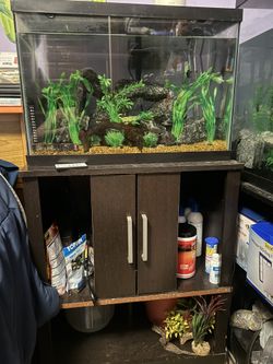 Fish Tanks