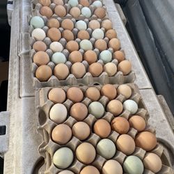 Farm Eggs