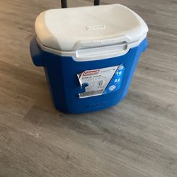 Mini Cooler