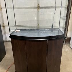 Fish Tank 