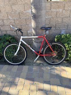 Yokota Men’s road Bike AHWHNEE frame NEW TIRES!