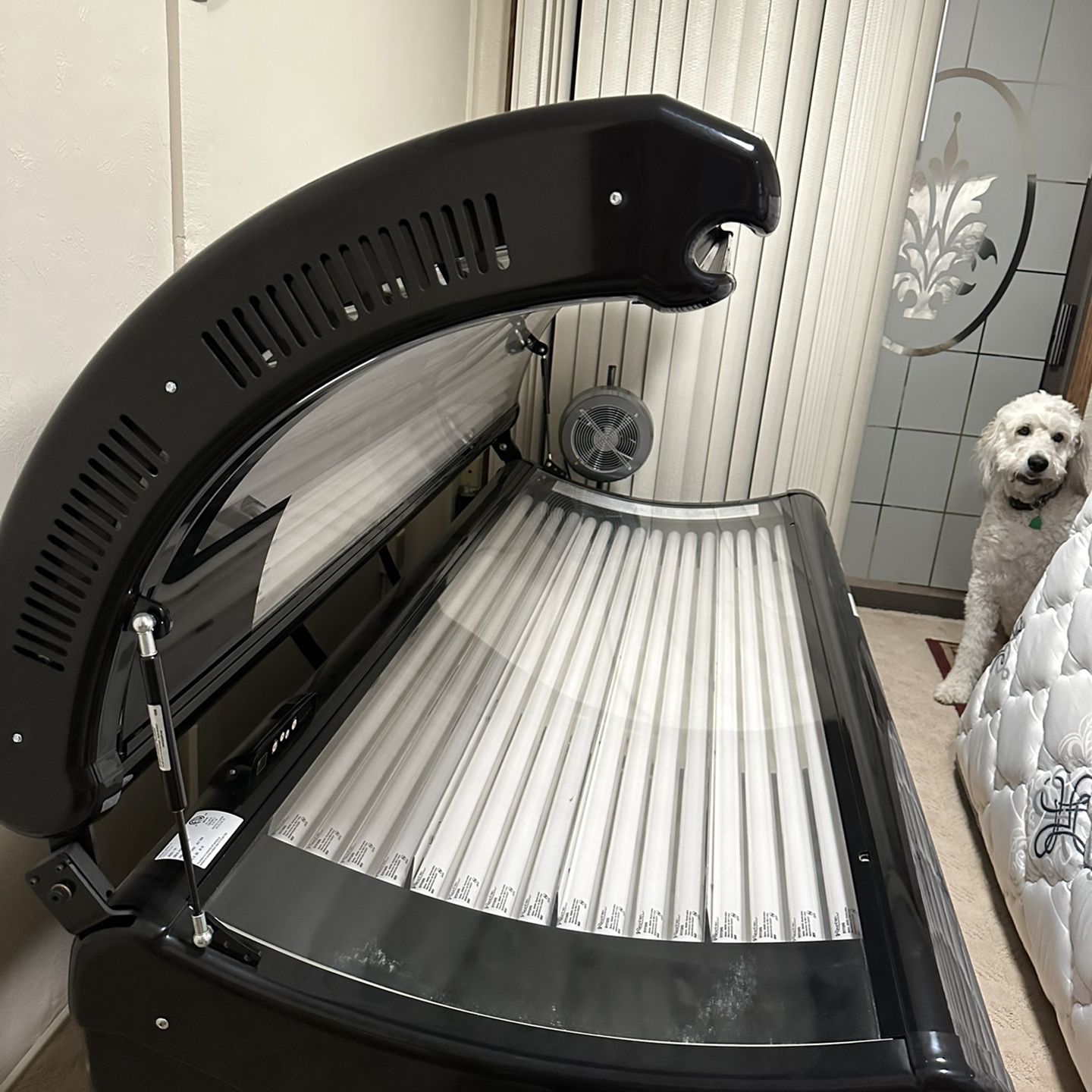 Tanning Bed Ovation 3400 Model 134 Used