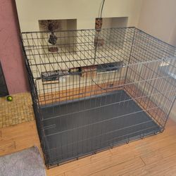 XLarge Dog Crate with Cover and Crate Plastic Floor Insert.