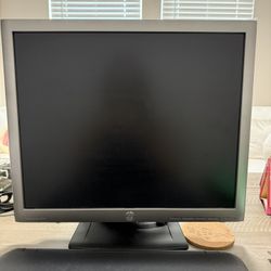 HP EliteDisplay 18.9  LED Monitor