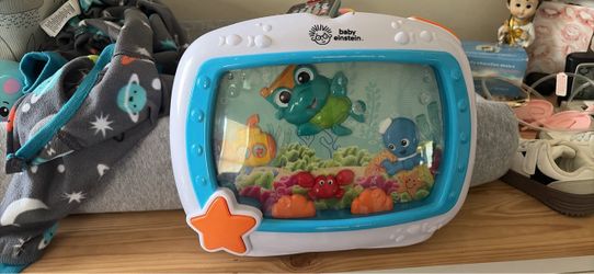 Baby Einstein