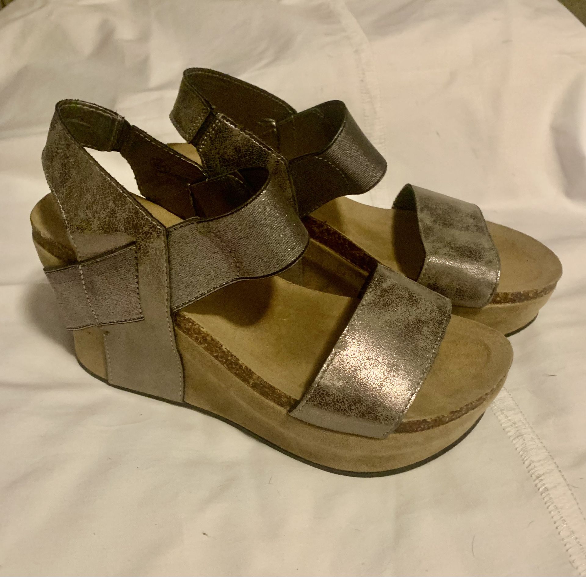 Pierre Dumas Wedge Sandals Metallic 8.5