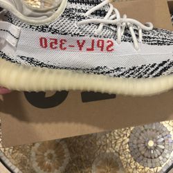 Zebra 350s Size 12 Amost  New (220)