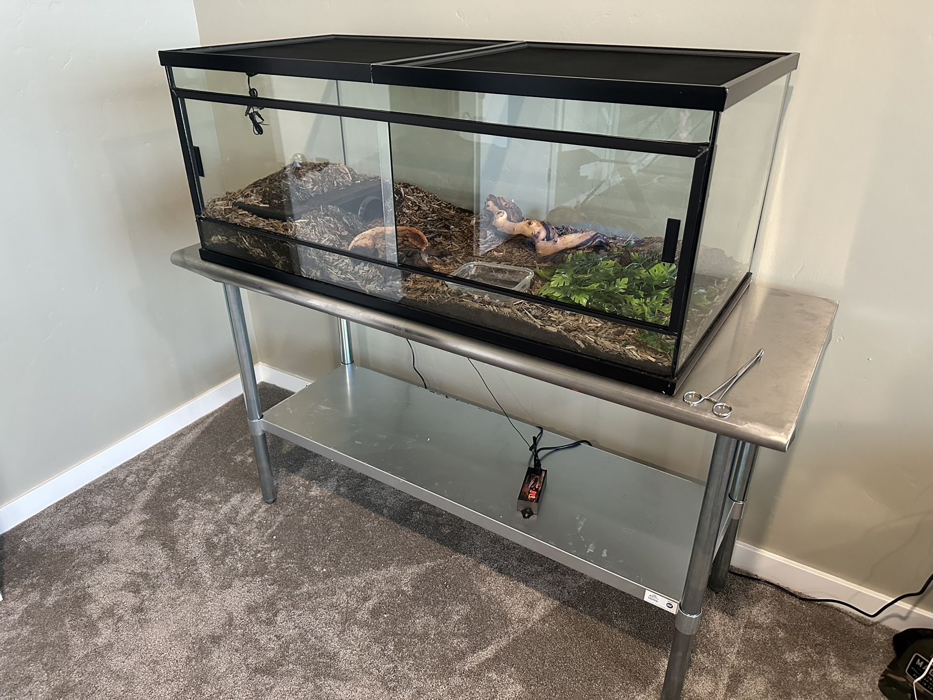 Enclosure For Snake