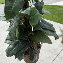 Decorative Plant (artificial)