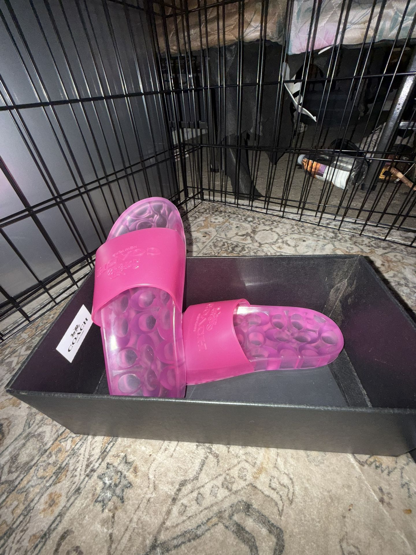 Brand New—coach Slides