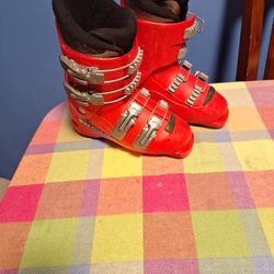 Salomon Ski Boots  Mondo  19.5  240 Mm