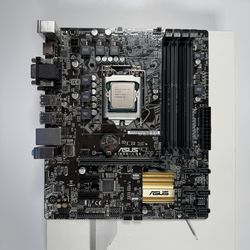 Asus Motherboard & CPU