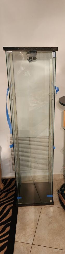 Glass Curio Display