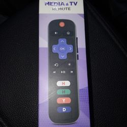 Roku TV Remote