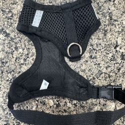 Cat harness and leash