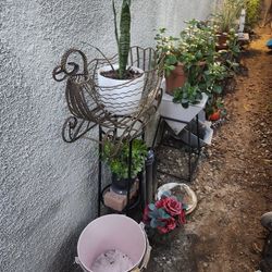 Big Sale Today Open All Day !!!! 