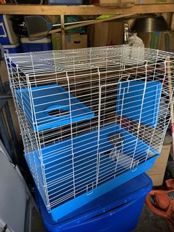 Small animal Cages
