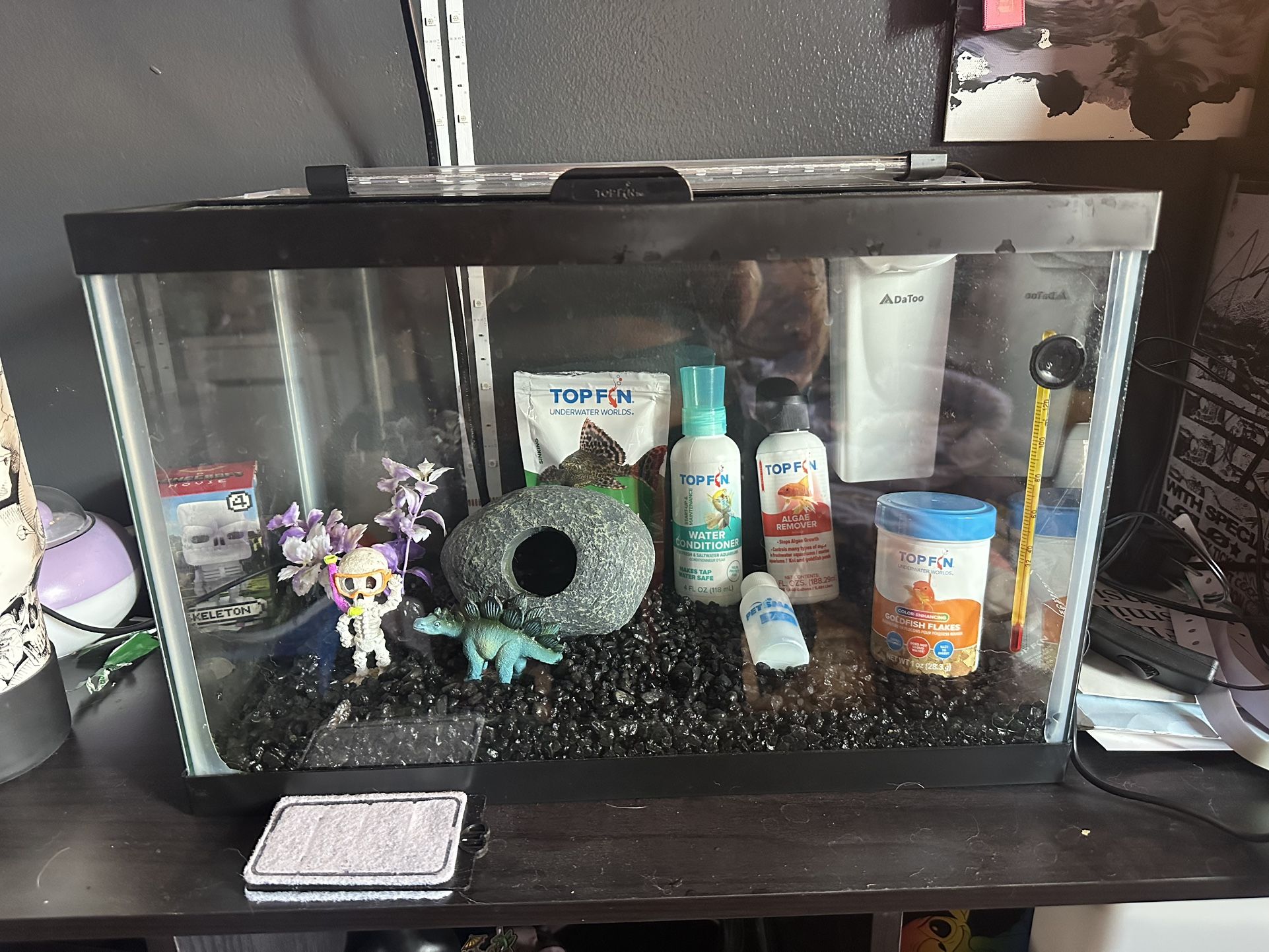 Fish Tank 12 Gallon