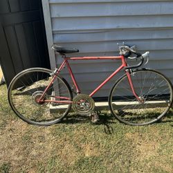 1973 Schwinn Varsity
