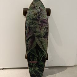 Cruiser Board Skateboard