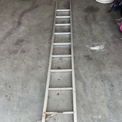Ladder/ Escalera 