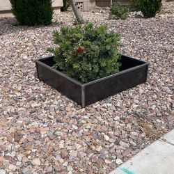 Steel Planter Box