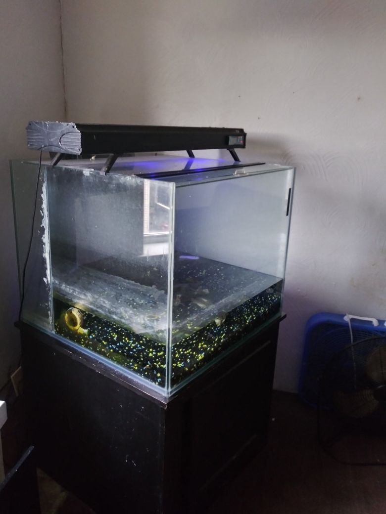 Fish tank with light and base